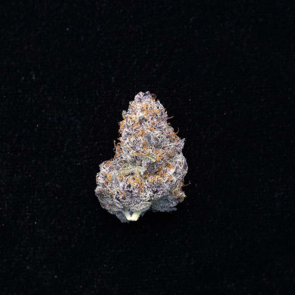 Tropican Infusion