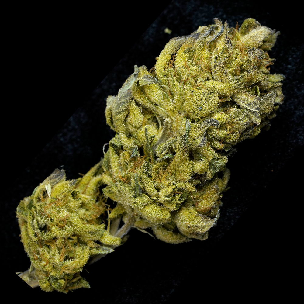 White Tahoe Cookies