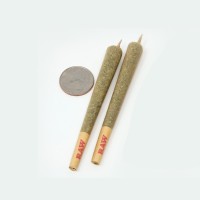 Full Gram Pre Rolls