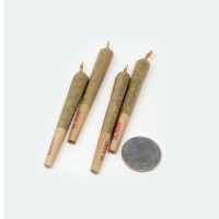 Half Gram Pre Rolls