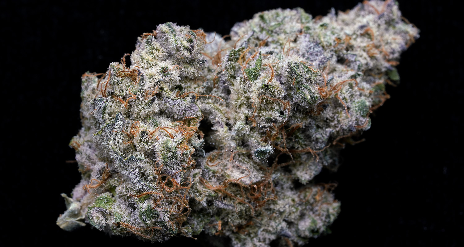BluBerryMotoroil02