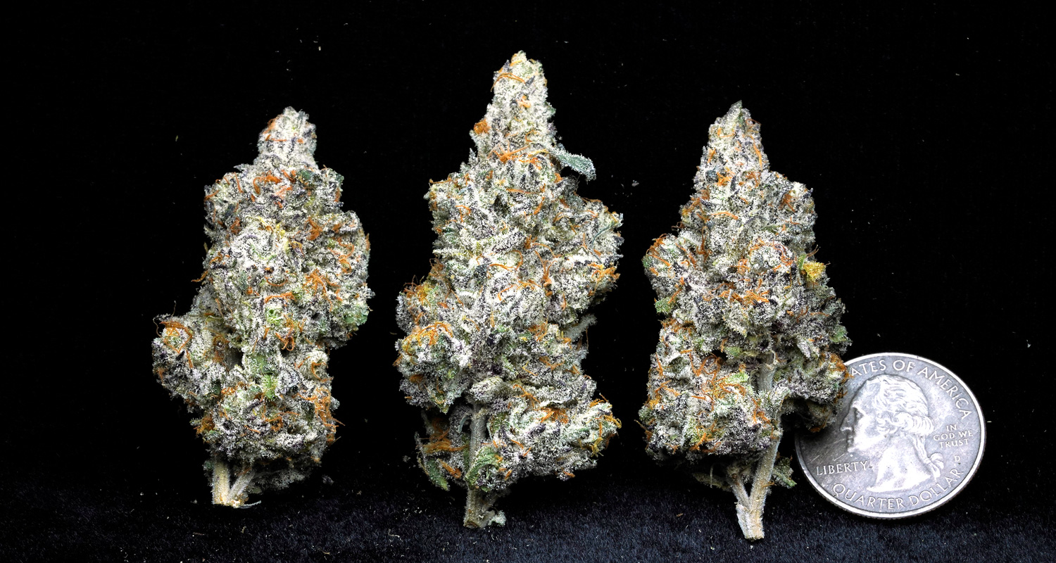 Awesome Indoor Strains